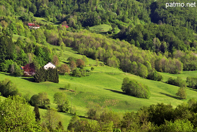 Photographie d'un paysage rural au printemps dans la valle de la Valserine