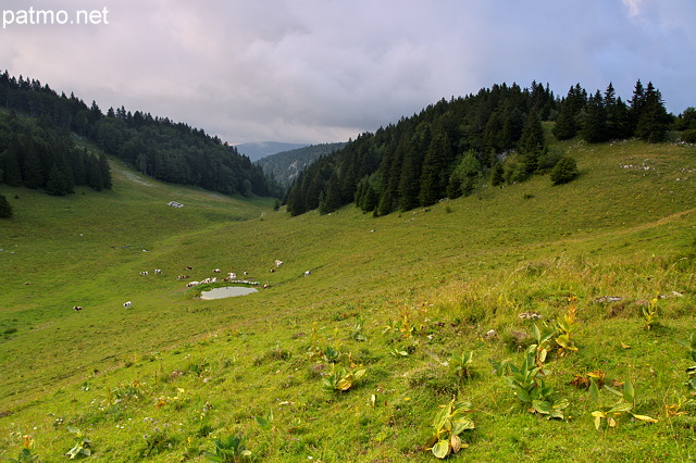 Image des alpages de la montagne du Grand Crt d'Eau sous un ciel d'orage