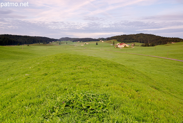 Photographie du plateau de Bellecombe dans le Haut Jura