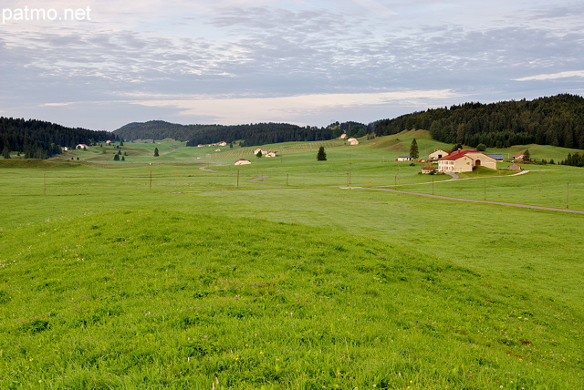 Photo du plateau de Bellecombe dans le Parc Naturel Rgional du Haut Jura