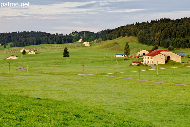 Image des fermes du plateau de Bellecombe dans le Haut Jura