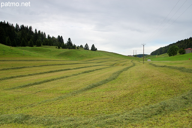 Image d'un paysage rural du Haut Jura autour de Bellecombe