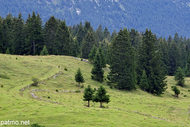 Image de prairies et de fort de montagne sur le plateau de Bellecombe dans le Haut Jura