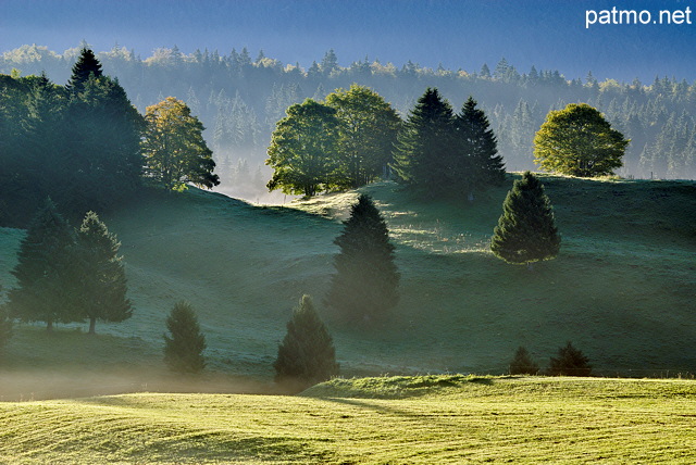 Image du plateau de Bellecombe dans la brume au lever du jour