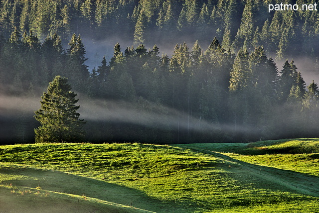 Photographie du plateau de Bellecombe sous le brouillard et le soleil