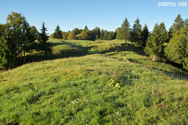 Image of the green meadows of Bellecombe plateau in french Jura