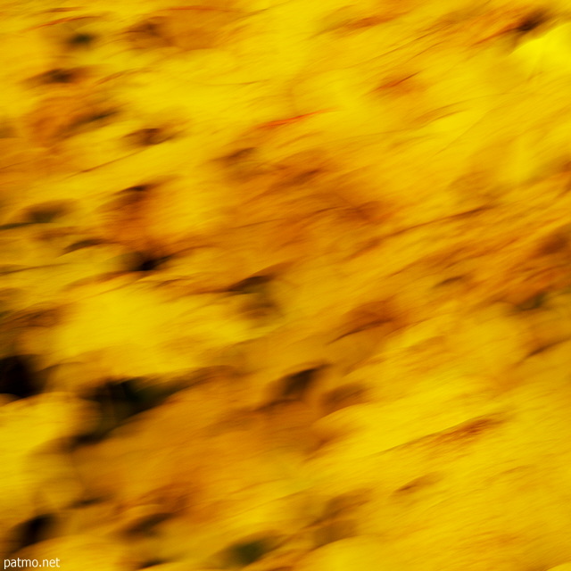 Photographie abstraite de feuilles d'automne floutes