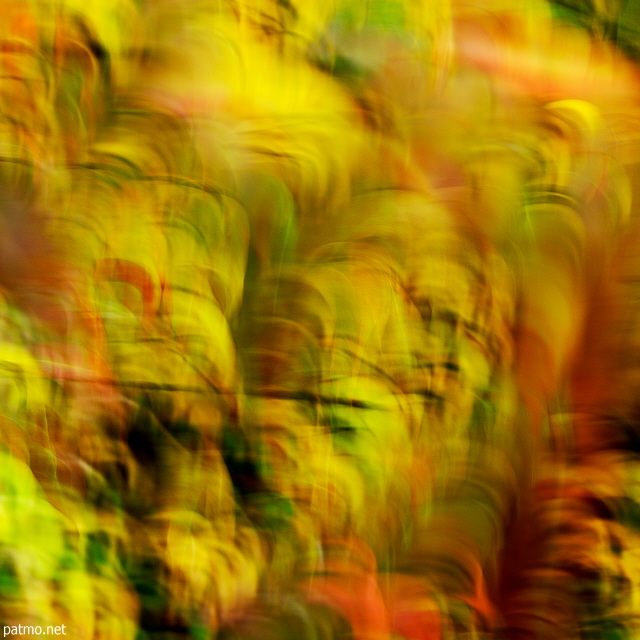 Image abstraite de feuilles d'automne colores