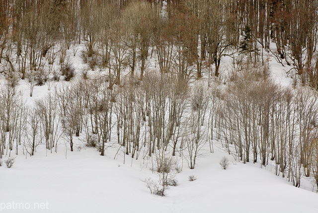 Photographie de fort sous la neige dans le Massif des Bauges