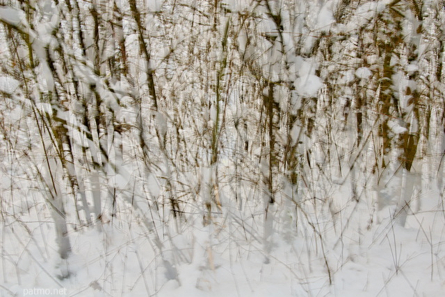 Image abstraite d'arbustes et de branches enneiges en hiver