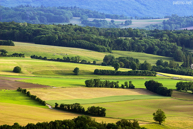 Image d'un paysage rural au printemps  proximit de Frangy en Haute Savoie