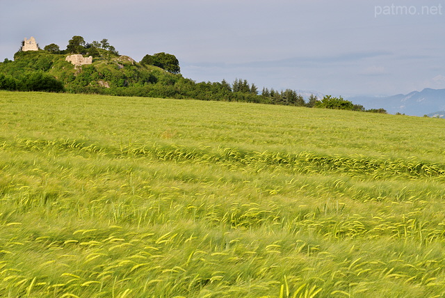 Photo d'un paysage rural autour des ruines du château de Chaumont en Haute Savoie