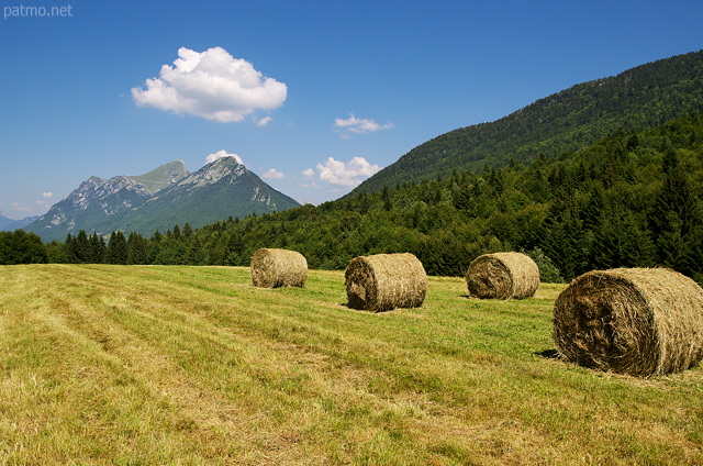 Image of a rural landscape with hay balls in Massif des Bauges Natural Park