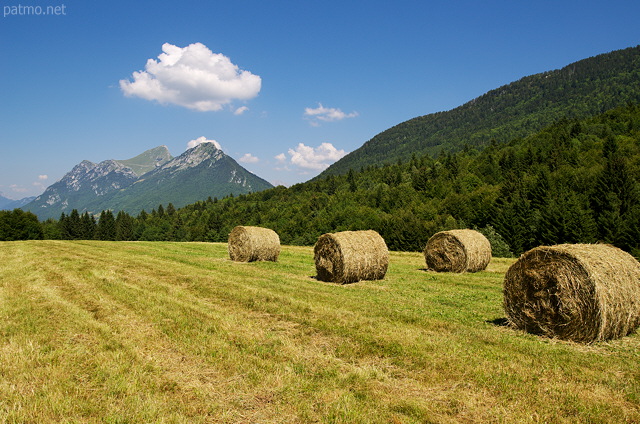 Image d'un paysage rural du Massif des Bauges au Col des Prs