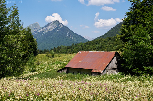 Image of an alpine rural landscape near Col des Prés in Massif des Bauges Natural Park