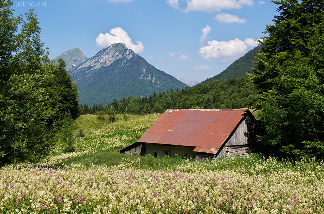 ... paysage rural de moyenne montagne au Col des PrÃ©s dans le Massif des