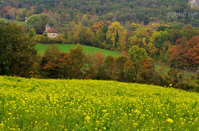 Image d'un champ de colza et des couleurs d'automne  Chaumont en Haute Savoie