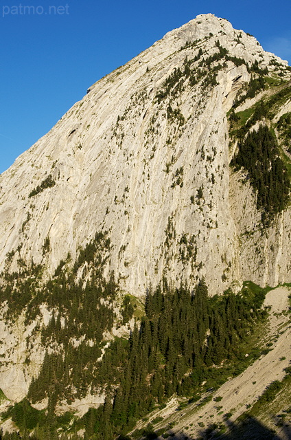 Photo du sommet et des falaises du Petit Bargy