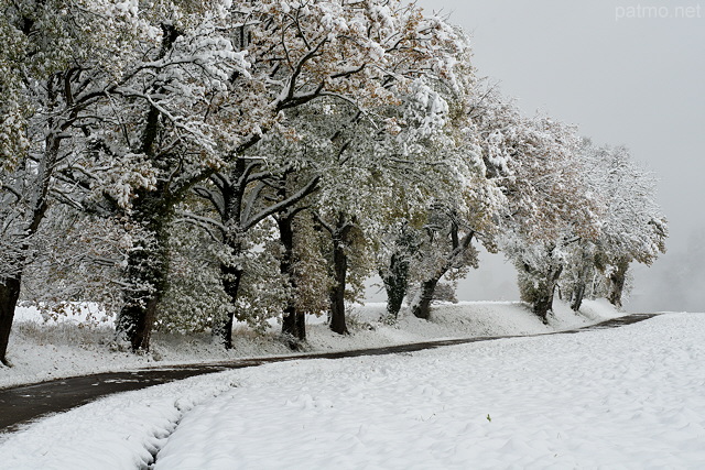 Photographie d'une route de campagne bordée d'arbres après les premières neiges en Haute Savoie