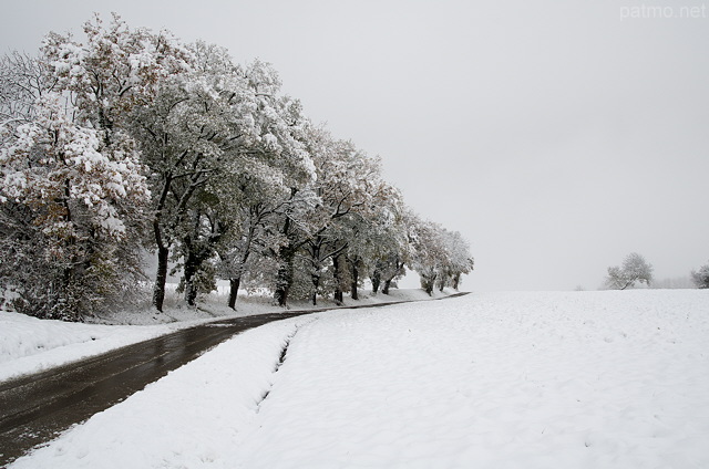 Image of a country road crossing a rural landscape with snow and fog