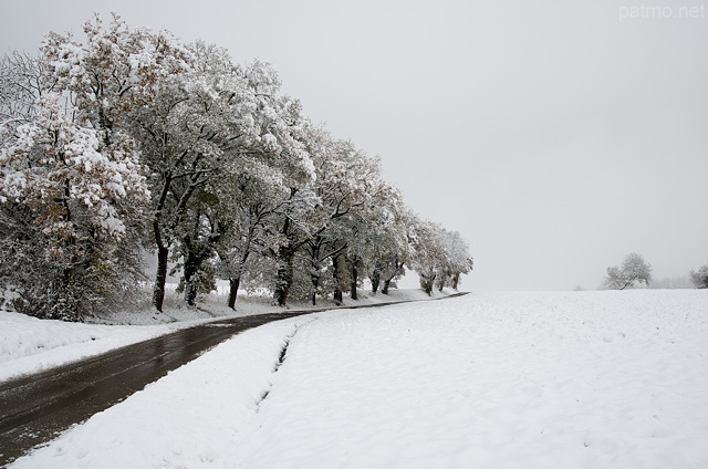 Image d'une route de campagne en Haute Savoie dans la neige et le brouillard
