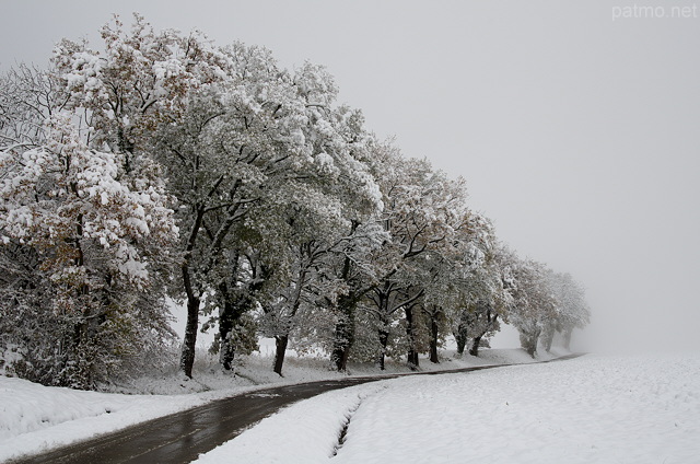 Image of the french countryside with mist and snow in autumn