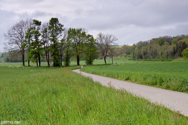 Photo of a rural landscape crossed by a little road in the french countryside