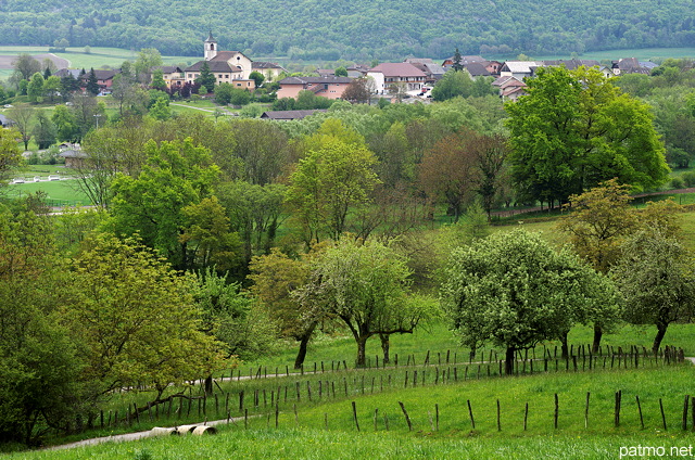 Photographie de la campagne verdoyante autour du village de Sillingy en Haute Savoie