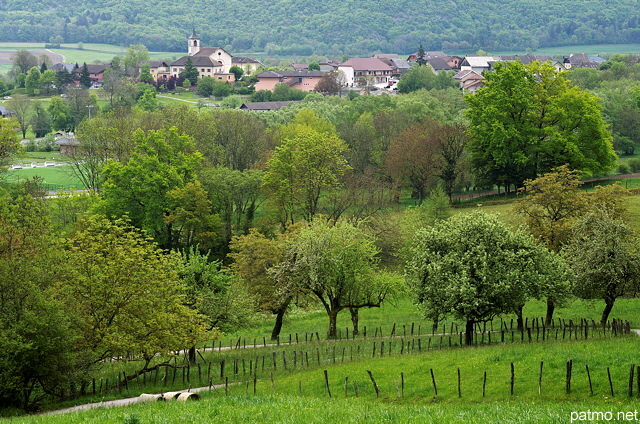 Photographie de la campagne verdoyante autour du village de Sillingy en Haute Savoie