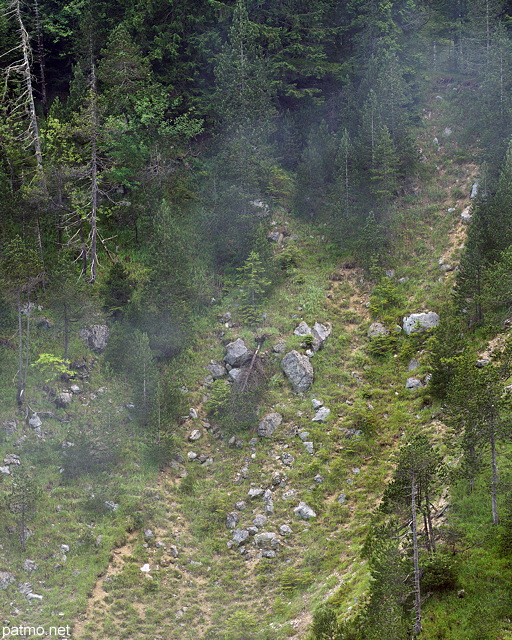 Photographie de forêt et d'éboulis dûs à l'érosion dans les montagnes du Haut Jura