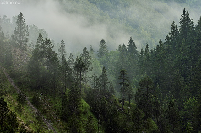 Image of a misty morning in Valserine valley