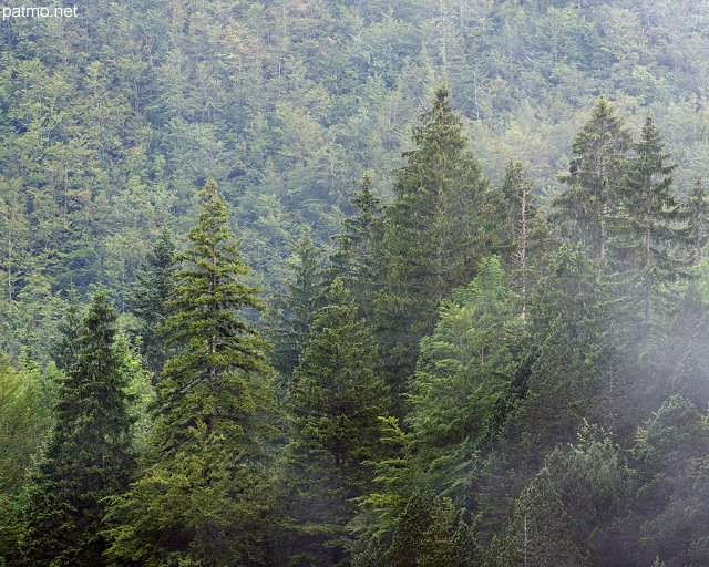 Photographie de la brume sur les picas du Haut Juar