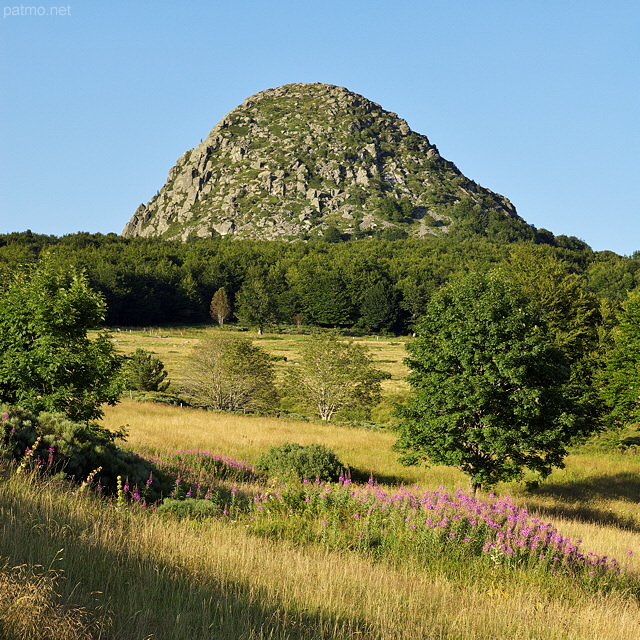 Photo du Mont Gerbier de Jonc en été - Ardèche