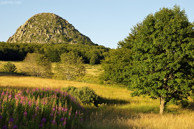 Photo of summer on Gerbier de Jonc mountain in Ardeche