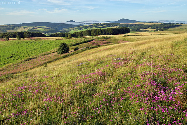 Photographie de l't dans la Montagne Ardchoise autour de Sainte Eulalie