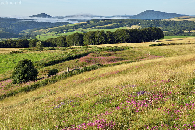 Photo od a summer rural landscape in Ardeche near Sainte Eulalie village