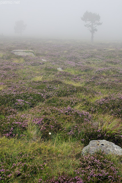 Image du brouillard sur la Lauzire en Ardche