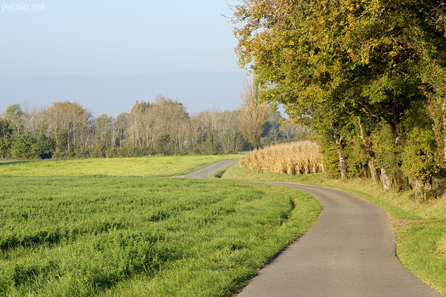 Image d'une petite route de campagne en Haute Savoie