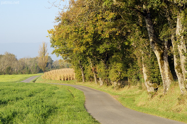 Photo d'une petite route  travers la campagne en Haute Savoie