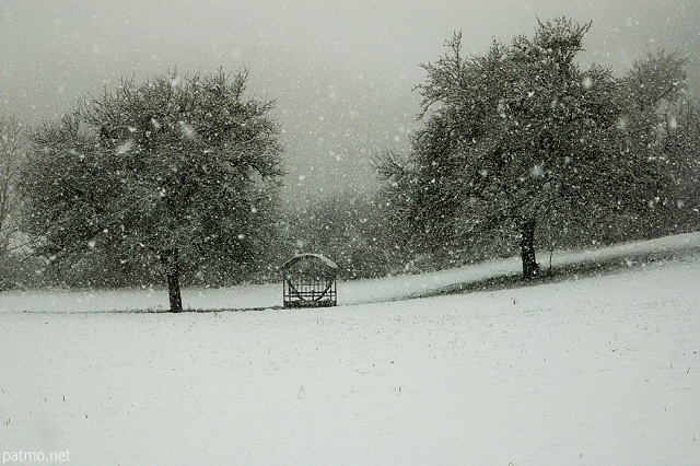 Image d'une averse de neige à la campagne