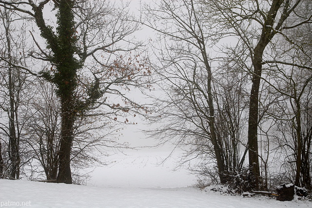 Photo d'un passage  travers une haie dans le brouillard