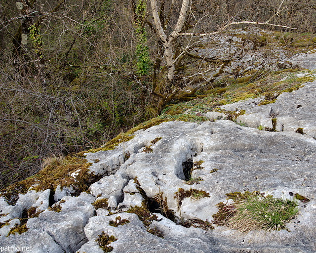 Photo des bords du lapiaz de Chaumont en Haute Savoie