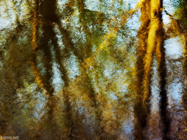 Photo de reflets d'arbres sur un tang