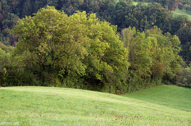 Image de fort et de prairie dans la campagne prs de Frangy en Haute Savoie