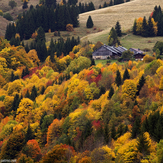 Photographie des couleurs d'automne sur les hauteurs de Bellevaux en Haute savoie