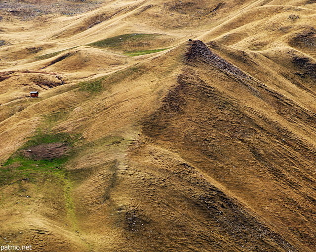 Image de pelouses alpines en automne