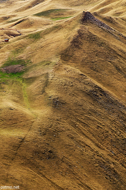 Photographie des couleurs de l'automne en altitude