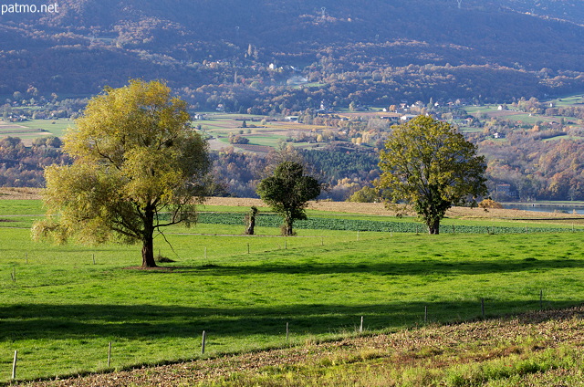 Image of a green countryside in autumn, France, Savoie department