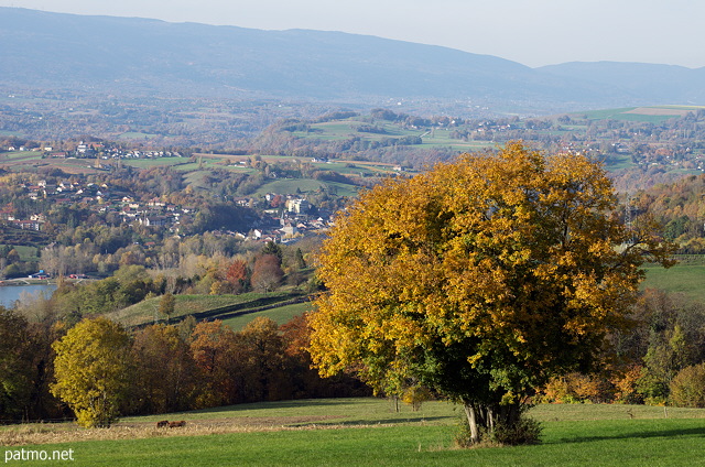 Photo de la Chautagne en automne