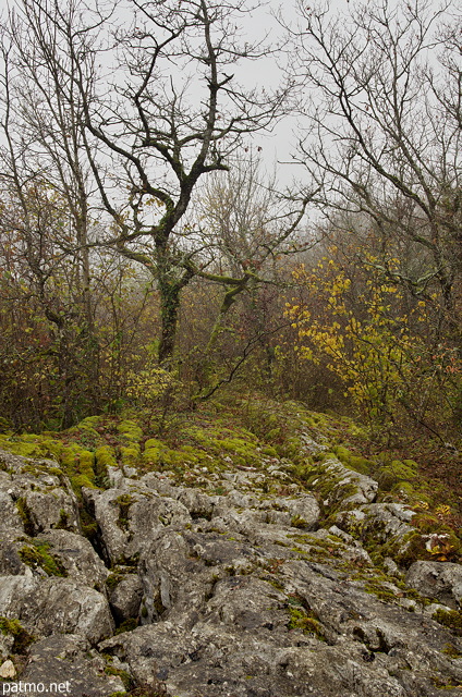 Image du lapiaz de Chaumont en automne - Haute Savoie